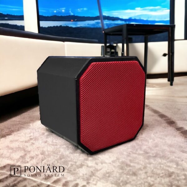 Poniard Octo 6,5 Inch  Full Range Italian Speaker Ahşap Siyah - Görsel 5